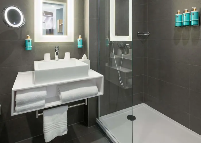 Hotel Novotel 20 Belleville